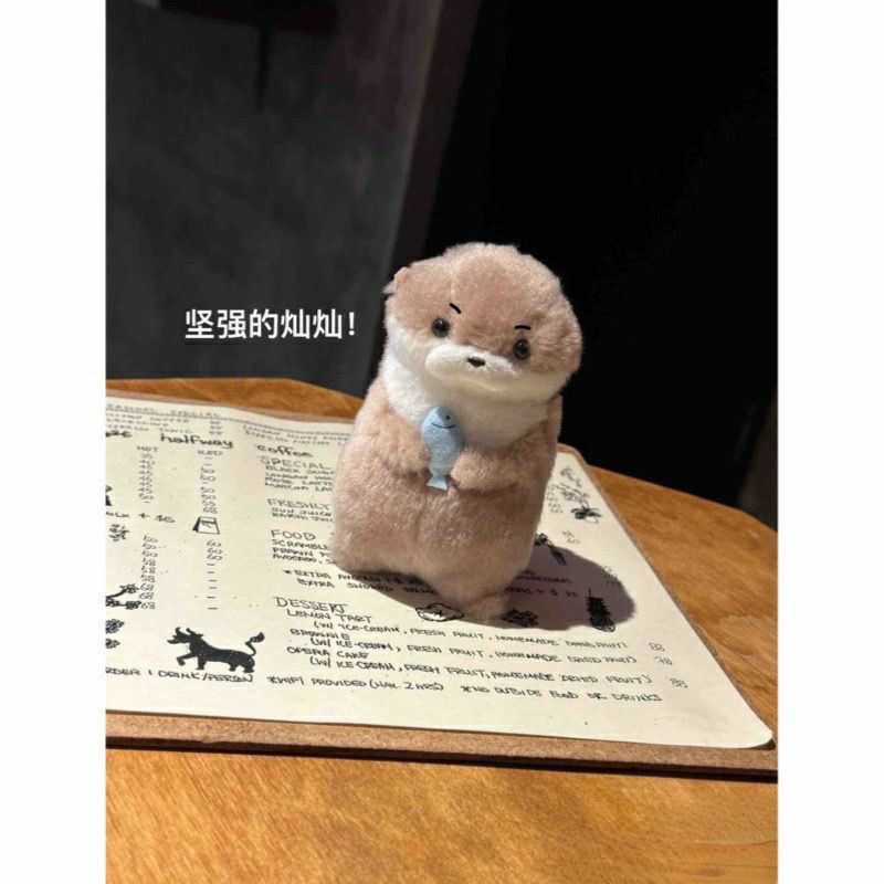 Cute otter plush keychain