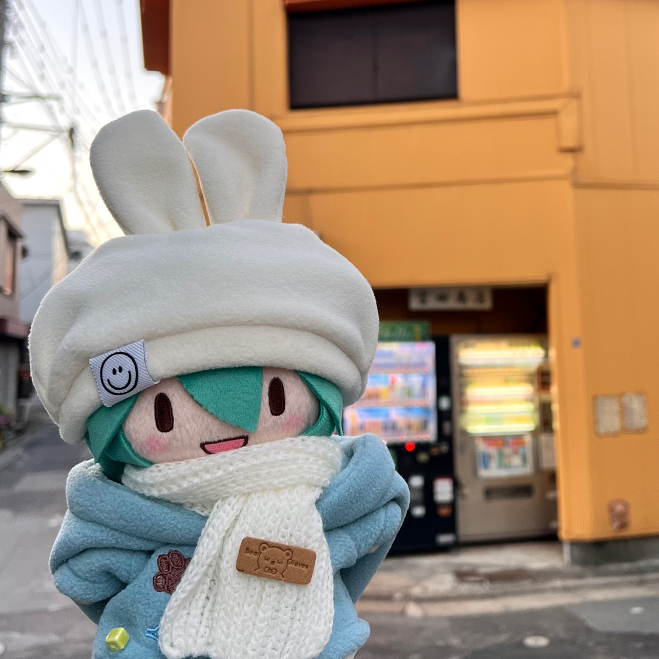 Miku Plush with new clothes